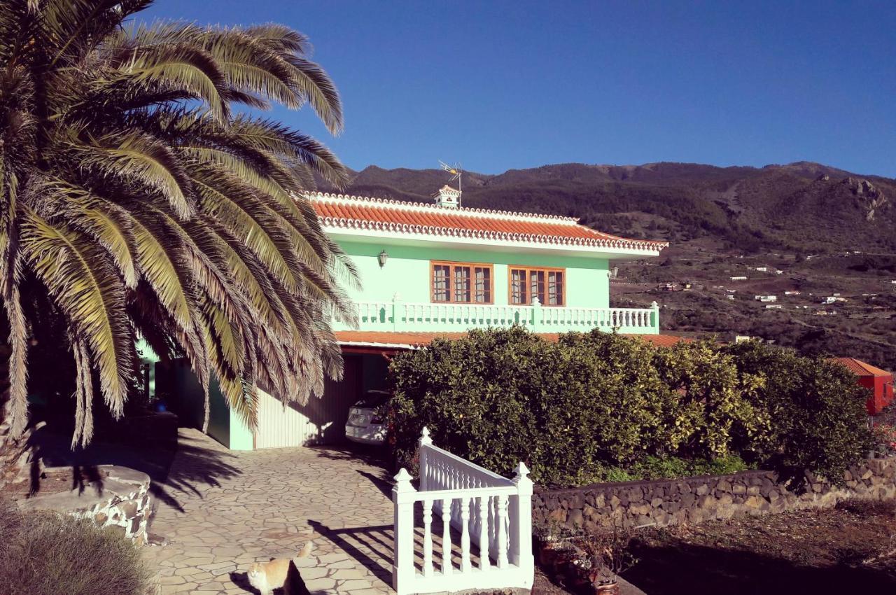 Sea And Mountain View Apartment Los Llanos De Aridane Exteriör bild